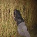 0202_biike_flobo_hecke